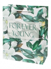 Пакет подарочный 